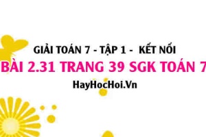 Giải bài 2.31 trang 39 Toán 7 Tập 1 SGK Kết nối tri thức